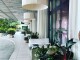 Roney Palace Condos | Unit #519